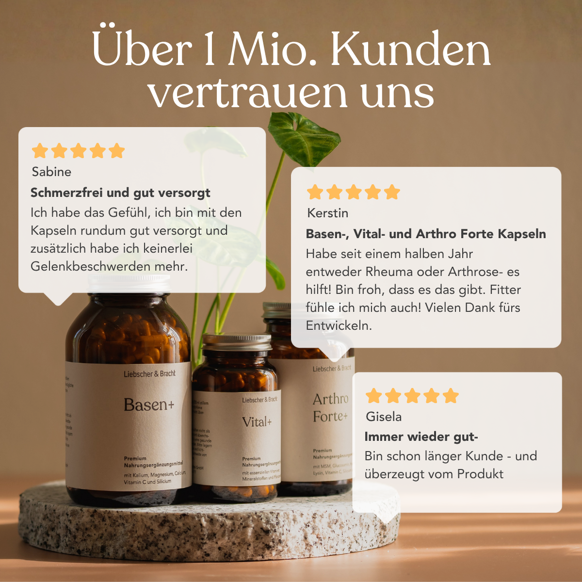 Drei Flaschen Die 3er-Kombi - Arthro Premium Vitalstoffe von Liebscher & Bracht sind auf einem Steintablett mit einer Pflanze dahinter abgebildet. Über ihnen betonen drei deutsche Rezensionen mit Sternchenbewertung "Immunsystem stärken".
