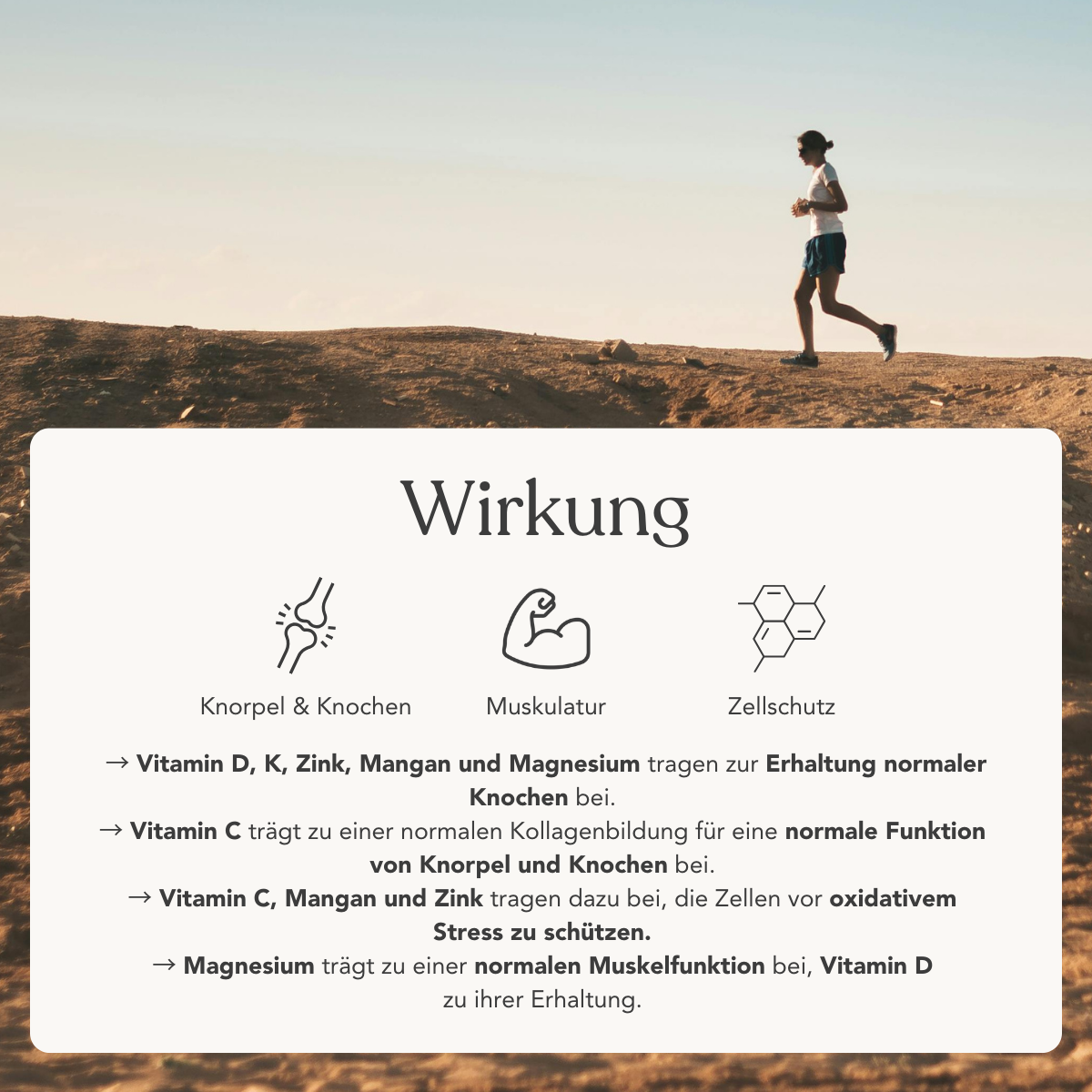 Bei Sonnenaufgang läuft eine Person über felsiges Gelände. Darunter ein weißer Kasten mit deutschem Text und Symbolen, die die Vorteile des Osteo Komplex+ für 2 Monate von Liebscher & Bracht für den Schutz von Knochen, Muskeln und Zellen durch vegane Vitamine wie Vitamin D verdeutlichen.