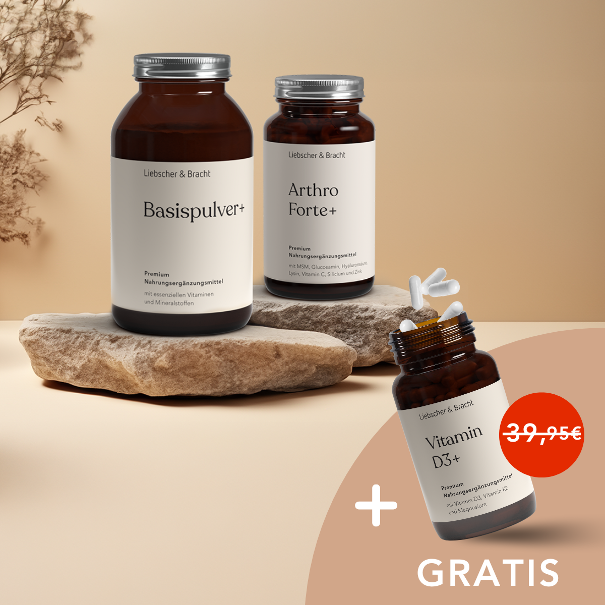 Drei braune Dosen des Liebscher & Bracht ALL IN ONE - Arthro-Paket (Pulver+Kapseln) stehen auf Steinen, betonen vegane Nahrungsergänzung; ein rotes Etikett hebt Vitamin D3 als kostenlose Zugabe hervor.