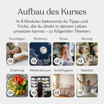 Grafik "Aufbau des Kurses" zum Produkt "Gesunder Schlaf - Energie durch Erholung" von Liebscher & Bracht mit 8 Modulen: Grundlagen, Rhythmus, Stress, Atmung, Ernährung, Medienkonsum, Schlafhygiene und Stabilität.