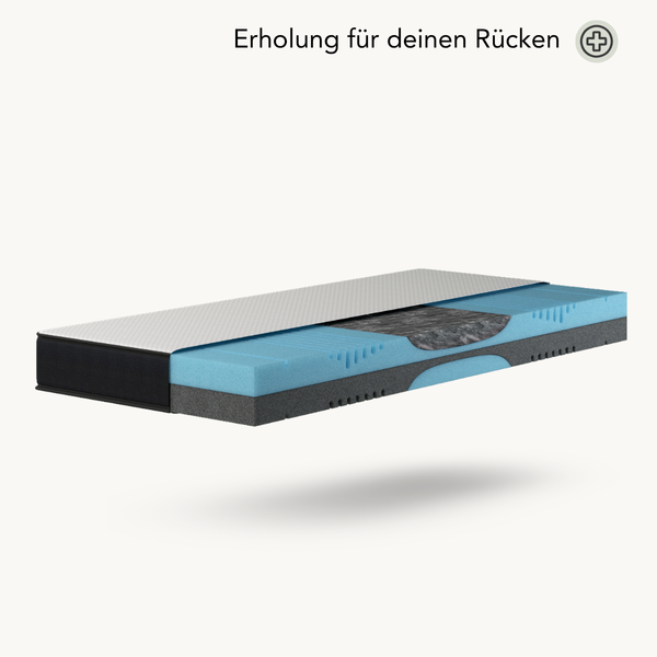 Ein Querschnitt der Matratze von Liebscher & Bracht zeigt blaue, graue und schwarze Schaumstoffschichten mit einer ergonomischen Stützzone. Der deutsche Text darüber lautet: „Erholung für deinen Rücken“.