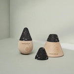 Zwei hölzerne, kegelförmige Liebscher & Bracht Angebots-Pakete mit schwarz gesprenkelter Oberseite sind auf einer hellen Fläche vor einem zartgrünen Hintergrund abgebildet. Ein Deckel ist abgenommen, um das Innere freizulegen, und beide tragen den eingravierten Markennamen.